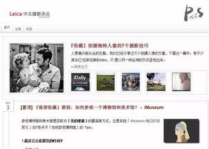 最新人文爆料网站推荐,人文领域最新爆料，带你领略知识前沿